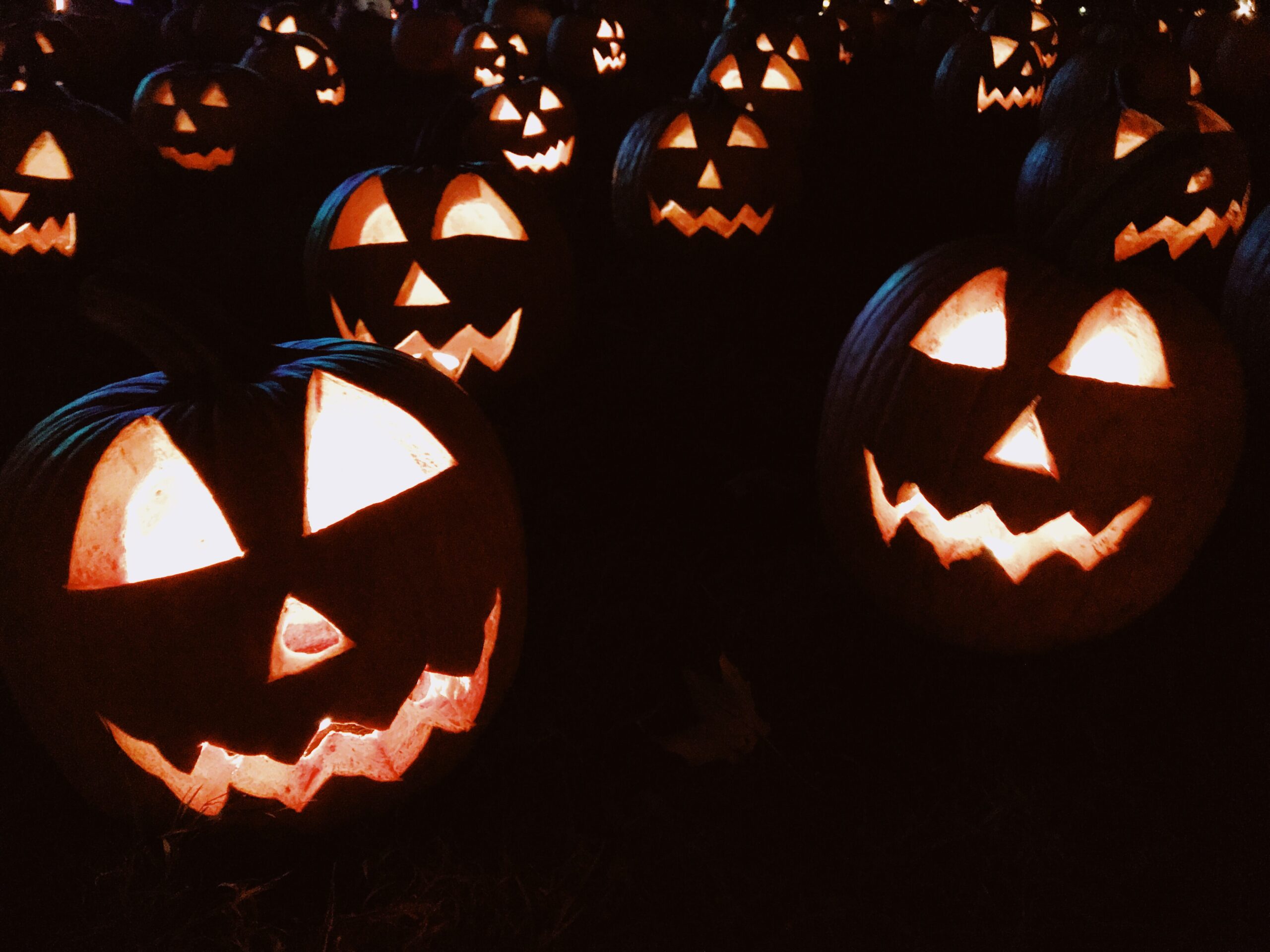 Halloween Events this October in DC Capitol Express Tours